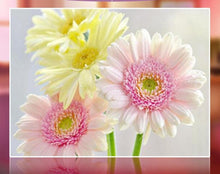 Load image into Gallery viewer, Pink and Yellow Flowers