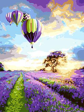Air Balloon & Meadows Paint by Numbers