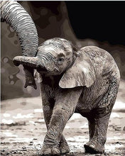 Load image into Gallery viewer, Baby Elephant Paint by Numbers