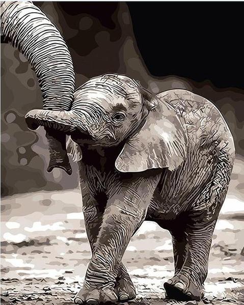 Baby Elephant Paint by Numbers