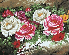 Load image into Gallery viewer, Beautiful Roses Paint by Numbers