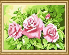 Load image into Gallery viewer, Beautiful Roses Paint by Numbers