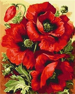 Big Red Poppy Flowers Paint by Numbers