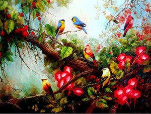 Birds & Flowers Paint by Numbers