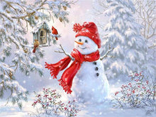 Load image into Gallery viewer, Birds Pair &amp; Snow Man Paint by Diamonds