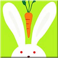 Bunny & Carrot Paint by Numbers