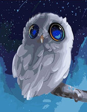 Load image into Gallery viewer, Cartoon Owl Paint by Numbers 