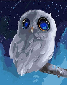 Cartoon Owl Paint by Numbers 