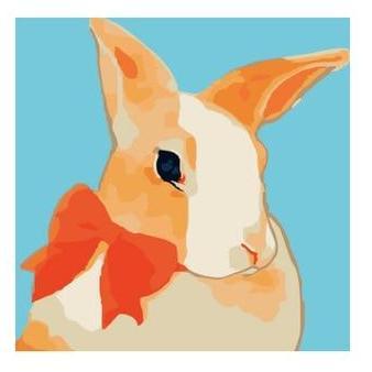 Cartoonist Rabbit Paint by Numbers