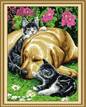 Load image into Gallery viewer, Cats &amp; Dog Paint by Numbers