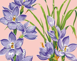 Crocus Flowers Paint by Numbers