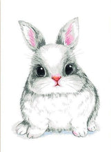 Load image into Gallery viewer, Cute Bunny Paint by Numbers
