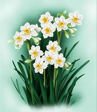 Load image into Gallery viewer, Daffodil Flowers Paint by Numbers