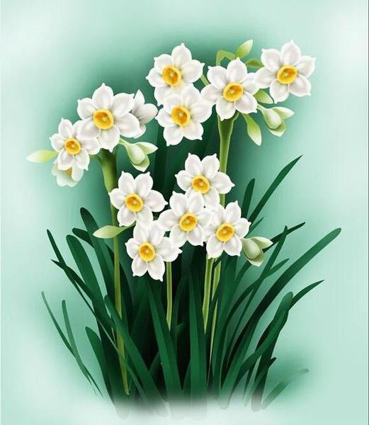 Daffodil Flowers Paint by Numbers