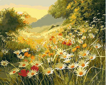 Load image into Gallery viewer, Daisy Field Paint by Numbers