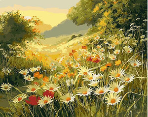 Daisy Field Paint by Numbers
