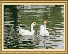 Load image into Gallery viewer, Ducks Pair Paint by Numbers