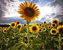 Load image into Gallery viewer, Elegant Sunflowers Paint by Numbers