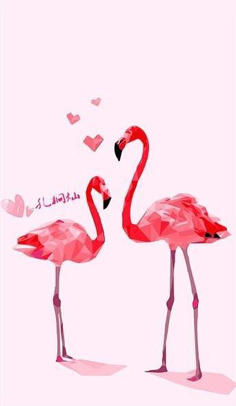 Flamingos in Love Paint by Numbers