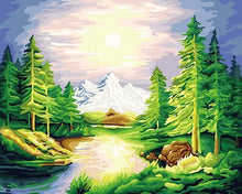 Load image into Gallery viewer, Forest Sunshine Paint by Numbers