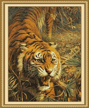 Load image into Gallery viewer, Furious Tiger Paint by Numbers