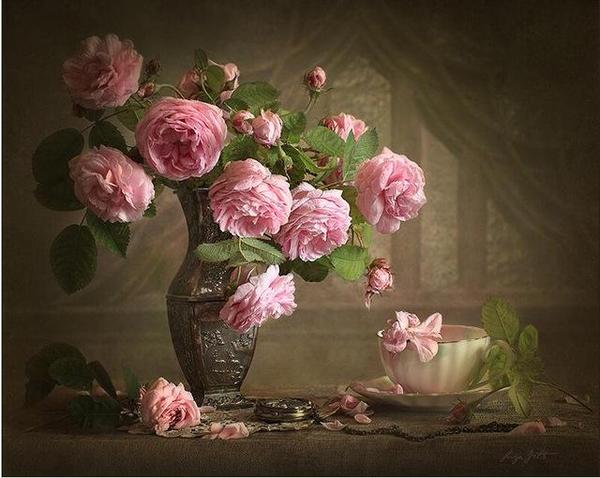 Gorgeous Pink Roses Paint by Numbers