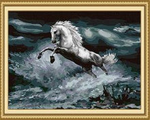 Load image into Gallery viewer, Horse Paint by Numbers