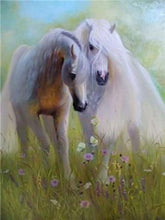 Load image into Gallery viewer, Horse Pair in Love Paint by Diamonds