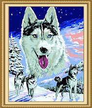 Load image into Gallery viewer, Husky paint by Numbers