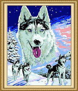 Husky paint by Numbers