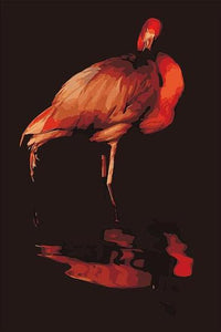 Ibis Paint by Numbers