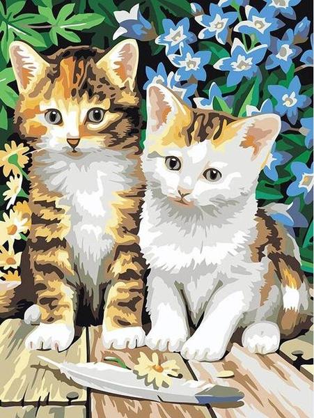 Kittens & Flowers Paint by Numbers