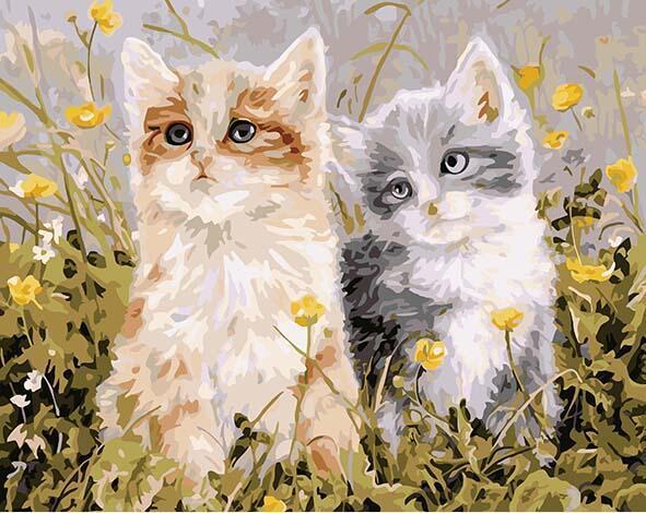 Kittens Pair Paint by Numbers