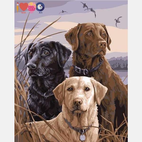 Labradors Paint by Numbers