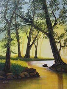 Lake in Forest Paint by Numbers