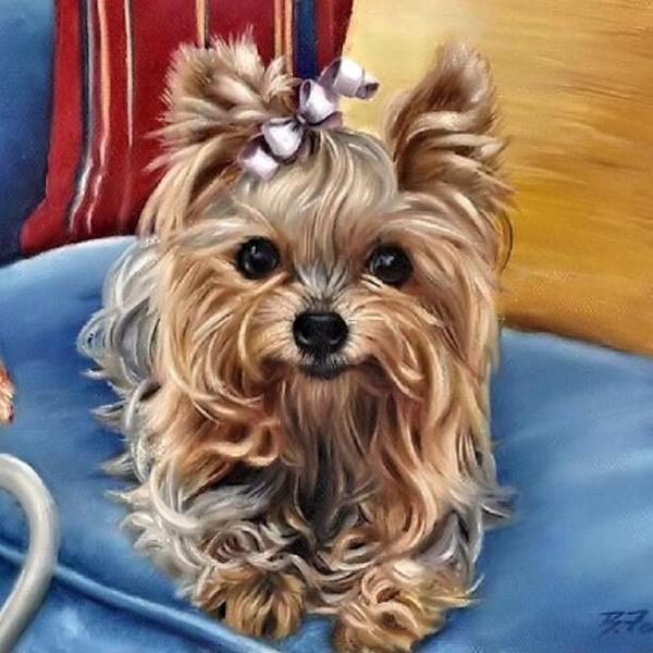 Maltese Puppy Paint by Diamonds
