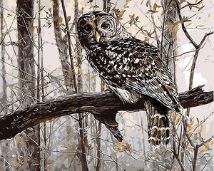 Owl Paint by Numbers