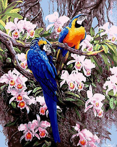 Parrots & Flowers Paint by Numbers