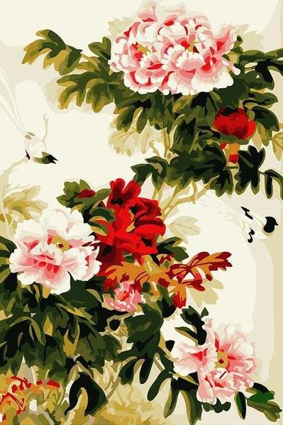 Peony Flowers Paint by Numbers