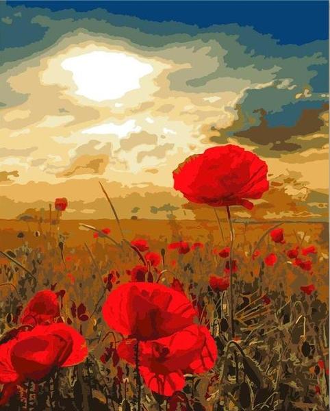 Poppy Field Paint by Numbers