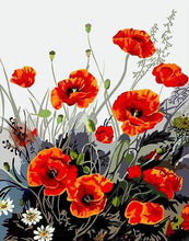 Load image into Gallery viewer, Pretty Poppies Paint by Numbers