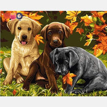 Load image into Gallery viewer, Puppies Paint by Numbers