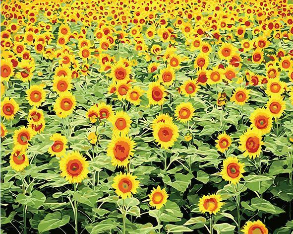 Radiant Sunflower Field Paint by Numbers