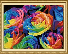 Load image into Gallery viewer, Rainbow Roses Paint by Numbers