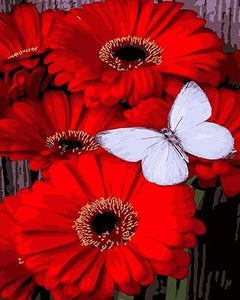 Red Flowers & Butterfly Paint by Numbers