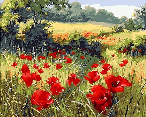 Red Poppies Crop Paint by Numbers