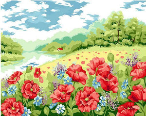 Red Poppies Field Paint by Numbers