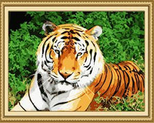 Load image into Gallery viewer, Resting Tiger Paint by Numbers