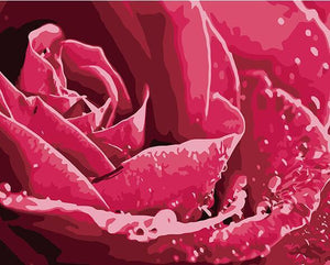 Rose Petals Paint by Numbers