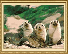 Load image into Gallery viewer, Seal Fish Paint by Numbers